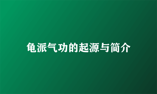 龟派气功的起源与简介