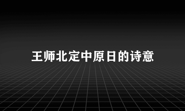 王师北定中原日的诗意