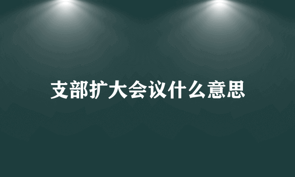 支部扩大会议什么意思