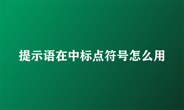 提示语在中标点符号怎么用