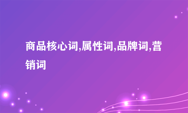 商品核心词,属性词,品牌词,营销词