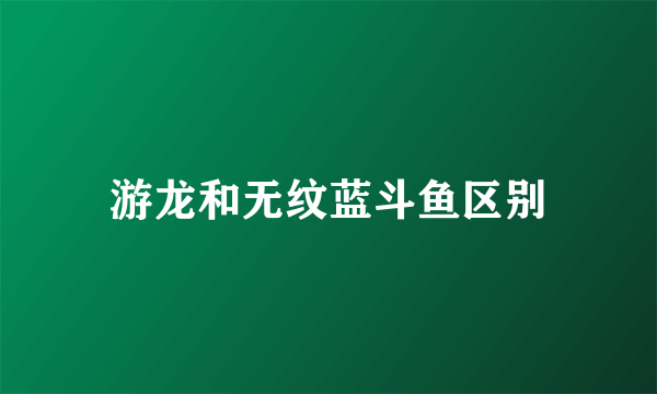 游龙和无纹蓝斗鱼区别