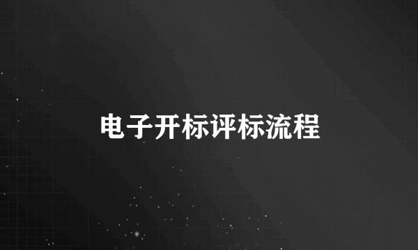 电子开标评标流程