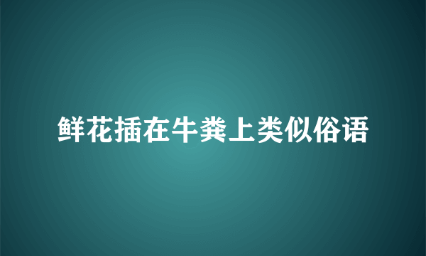 鲜花插在牛粪上类似俗语