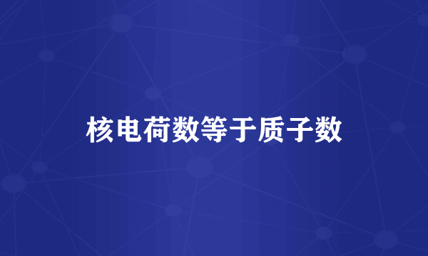 核电荷数等于质子数