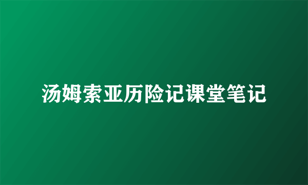 汤姆索亚历险记课堂笔记