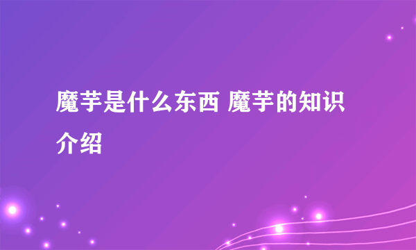 魔芋是什么东西 魔芋的知识介绍