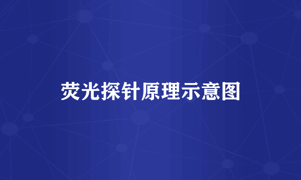 荧光探针原理示意图