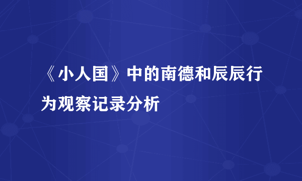 《小人国》中的南德和辰辰行为观察记录分析
