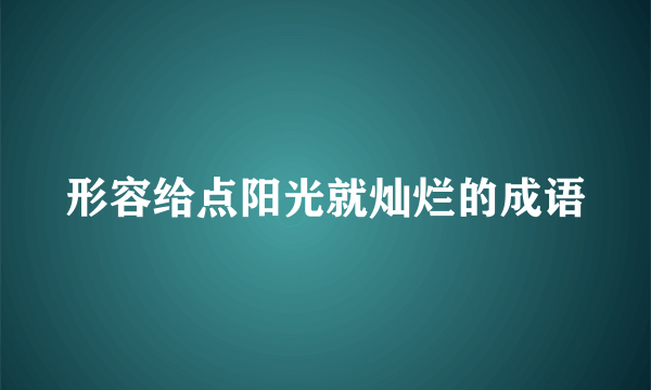 形容给点阳光就灿烂的成语