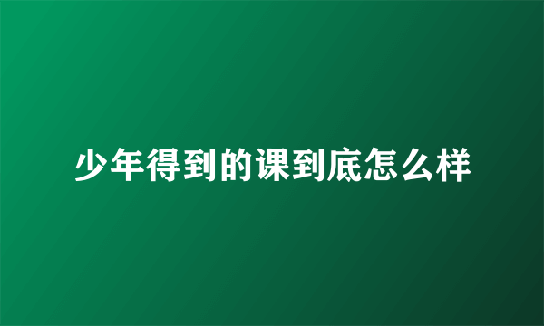 少年得到的课到底怎么样