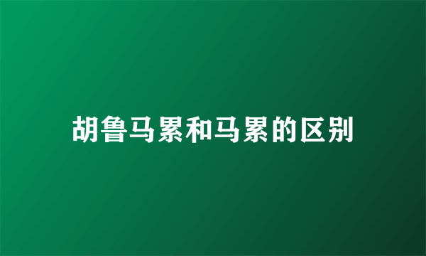 胡鲁马累和马累的区别