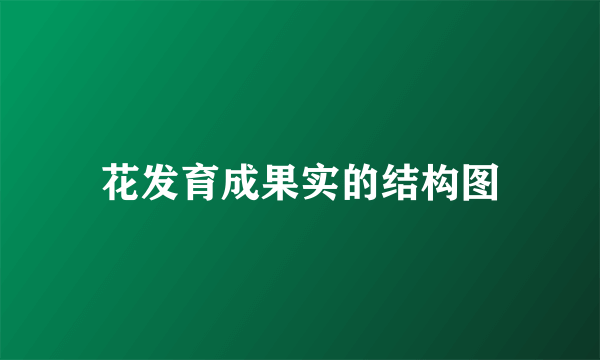 花发育成果实的结构图