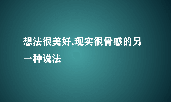 想法很美好,现实很骨感的另一种说法