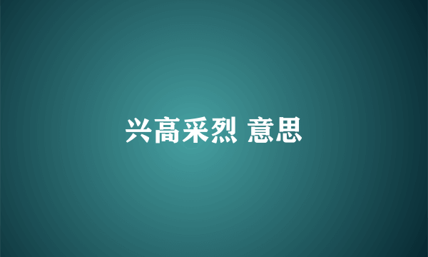 兴高采烈 意思