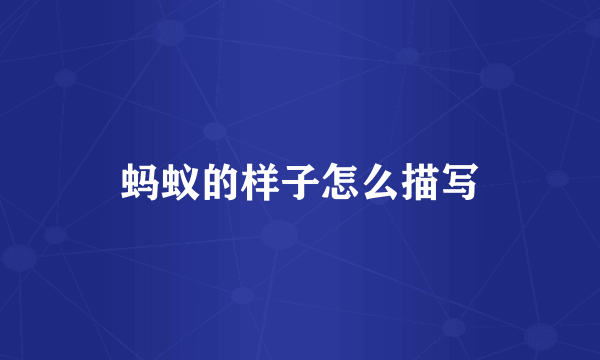 蚂蚁的样子怎么描写