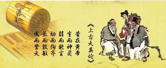 “各从其欲，皆得所愿”的意思是什么