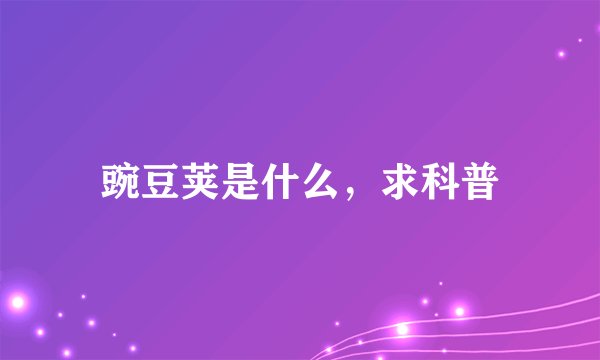 豌豆荚是什么，求科普