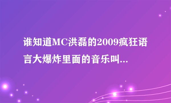 谁知道MC洪磊的2009疯狂语言大爆炸里面的音乐叫什么名字