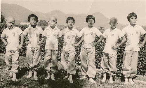 元彪，元华，元奎是什么关系？