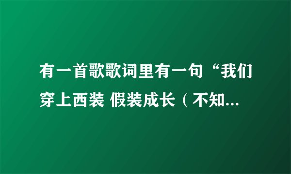 有一首歌歌词里有一句“我们穿上西装 假装成长（不知是成长还是长大）”这首歌歌名是什么啊
