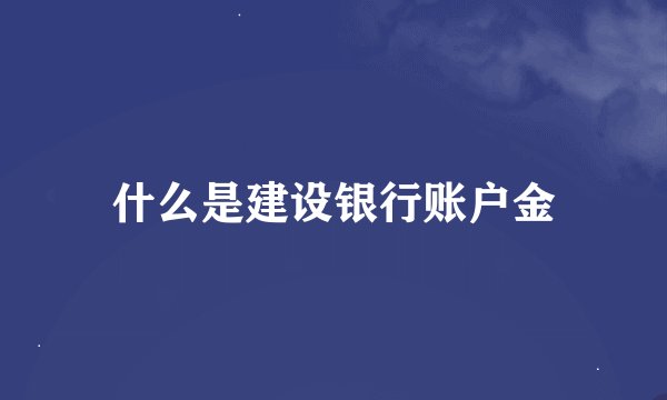 什么是建设银行账户金