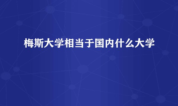 梅斯大学相当于国内什么大学