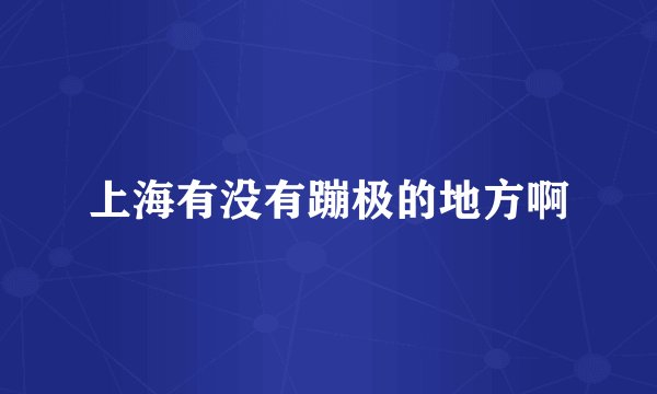 上海有没有蹦极的地方啊
