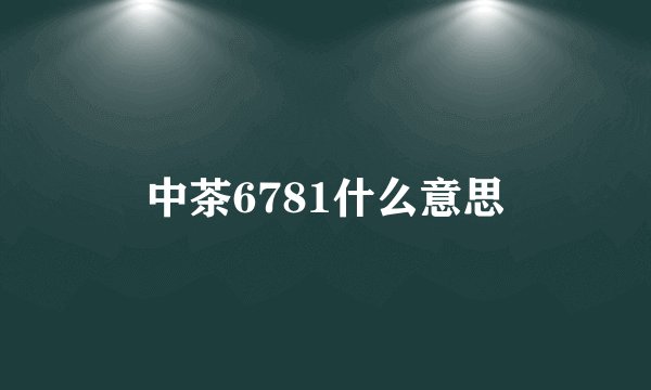 中茶6781什么意思