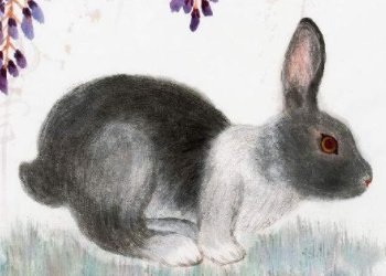 雪高三尺云上天，打一生肖