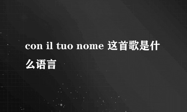 con il tuo nome 这首歌是什么语言
