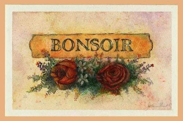 法语中的“BONSOIR ”是什么意思？