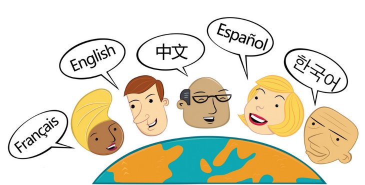 老师为什么会在这里未增删有翻译