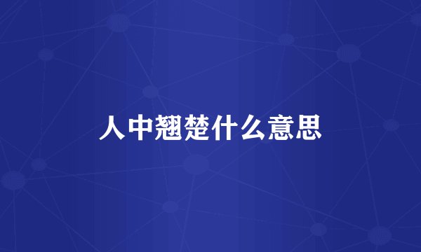 人中翘楚什么意思