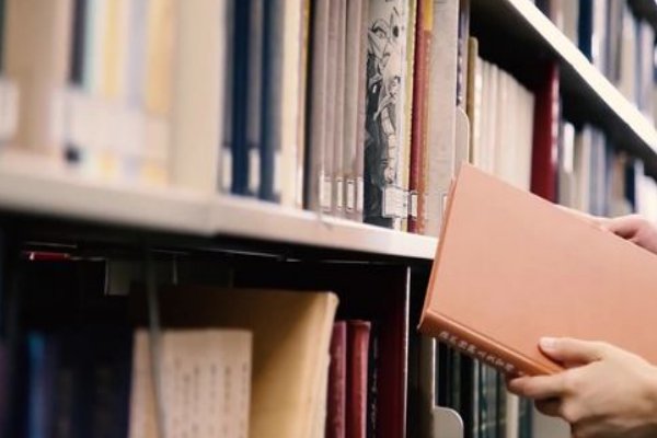 纷纷射杀五单于上一句