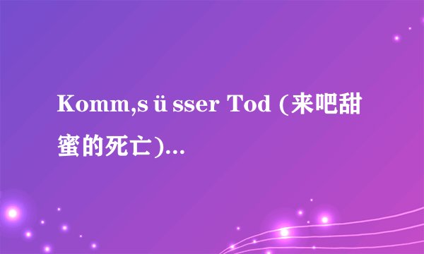 Komm,süsser Tod (来吧甜蜜的死亡) 中文歌词