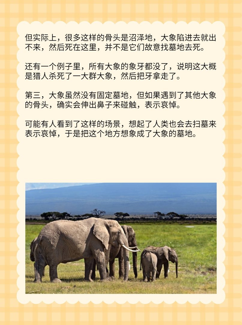 大象墓地是真的吗