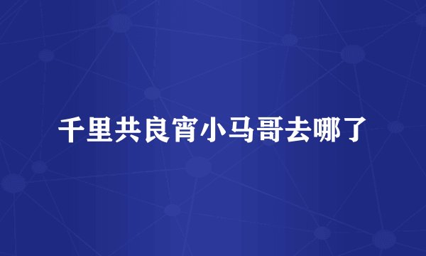 千里共良宵小马哥去哪了