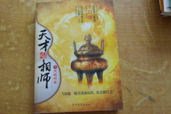 公认十大最好看算命小说