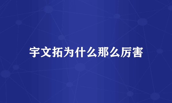 宇文拓为什么那么厉害