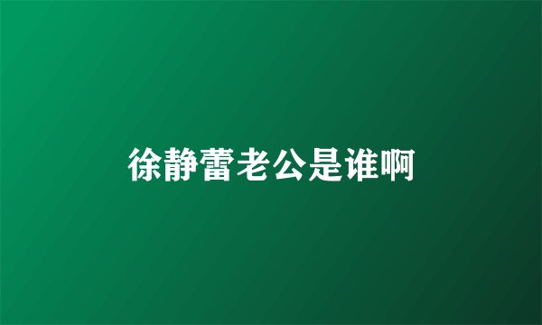 徐静蕾老公是谁啊