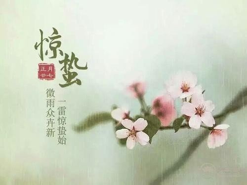 3月5日是什么日子
