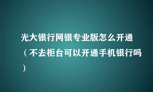 光大银行网银专业版怎么开通（不去柜台可以开通手机银行吗）