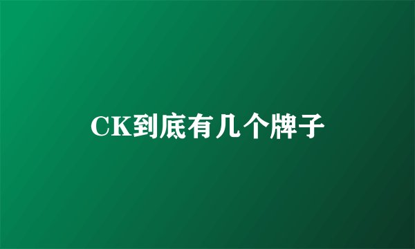 CK到底有几个牌子