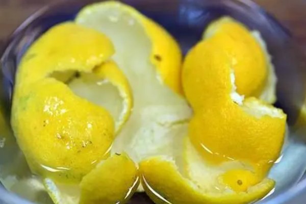 橘子皮泡水浇花有什么好处和坏处