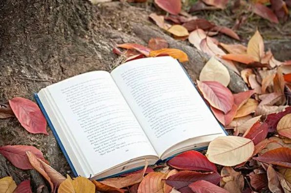 德财兼备什么意思啊