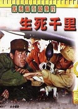 生死千里的介绍