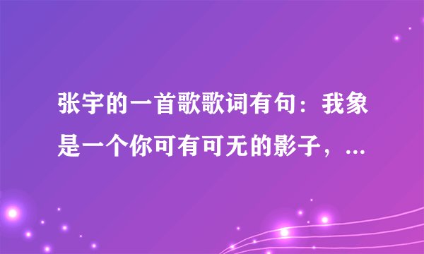 张宇的一首歌歌词有句：我象是一个你可有可无的影子，看着你冷冷的说谎的样子。歌名叫什么？