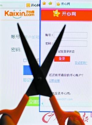 真假开心网案的介绍