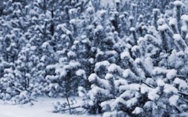 今年寒潮大幅超标，我们该如何抵御寒潮？